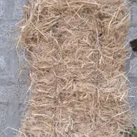 سرچینا یا کلوش بسته های بزرگ