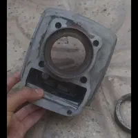 سیندر هندا پرنده عروس کفتر فنچ مرغ عشق فنچ|قطعات یدکی و لوازم جانبی|مشهد, پورسینا|دیوار