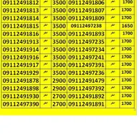 09112491917