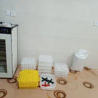 دستگاه جوجه کشی