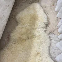 پادری چرم طبیعی گوسفندی