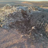 کود مرغ درجه یک|خدمات باغبانی و درختکاری|فریمان, |دیوار