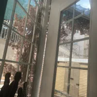 به نیروی میکرو کار نیازمندیم