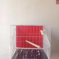 قفس مخصوص کوتوله و عروس