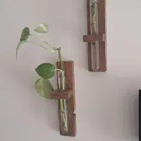 گلدان و تزئینات هیدروهای