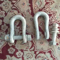 بست دانی نو