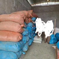 نیاز به کارگر جهت جمع‌آوری و انبار کردن کاه
