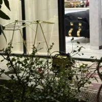 فروش خانه ویلایی|فروش خانه و ویلا|شاهینشهر, گزبرخوار|دیوار