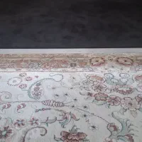 2عدد الایدی 43اینچ اسنوا ایکسویژن(اسمارت)در حد