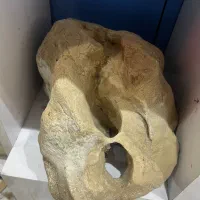 سنگ آکواریم