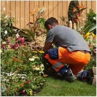 خدمات  کاشت گل گیاه و باغبانی اصولی