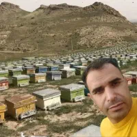 عسل خالص دارویی وطبیعی