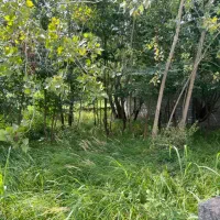 زمین-250-متری-کاربری-مسکونی-لیالستان