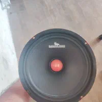 میدرنج ۸ اینچ