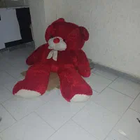 خرس ولنتاین