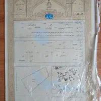 60قصب-زمین-جنگل-آباد