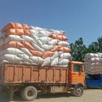کاه دیم کوهدشت