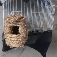 انواع قفس با سایز مختلف و وسایل  رایگان|لوازم جانبی حیوانات|شوشتر, |دیوار