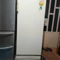 یخچال|یخچال و فریزر|لالی, |دیوار