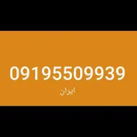 09195509939
