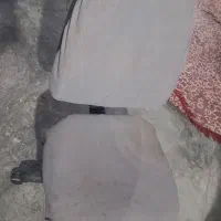 یک عدد صندلی سالم بفروش میرسد
