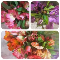 نیازمند شاگرد خانم ترجیحا مجرد