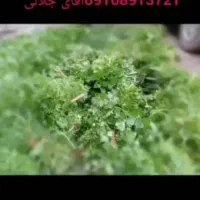 گونی سبزی گم شده