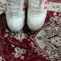 کتونی ساموا|کیف، کفش، کمربند|اسلامشهر, مسکن مهر اسلاشهر (شهرک امام خمینی)|دیوار