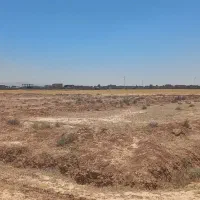 ۵۰۰ متر زمین شهرک گچی