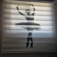 ۳ عدد پرده زبرا