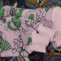 فروش یک دست لباس بچه گانه