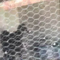 بز کهره روستای کلل|حیوانات مزرعه|آبپخش, |دیوار