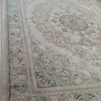 قالی الماس کویر|فرش|رفسنجان, |دیوار