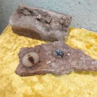 پیوند قلب ها و ماری|بدلیجات|کرمانشاه, |دیوار