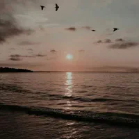 بیکارم و دنبال کار هرکاری باشه