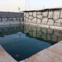 باغ نقلی