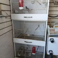 قفس پرنده|لوازم جانبی حیوانات|کرمانشاه, |دیوار