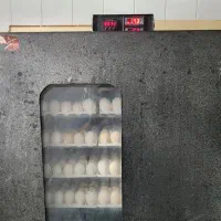 دستگاه ۴۲۰ تایی سیمرغ سالم|عمدهفروشی|گتاب, |دیوار