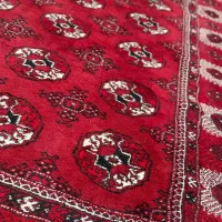 فرش دستبافت ترکمنی|فرش|بندر ترکمن, |دیوار