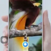 پنتک ساخت کره