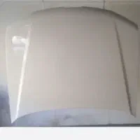 کاپوت پارس
