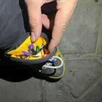 کتونی زد ایکس|کیف، کفش، کمربند|قرچک, پویینک|دیوار