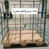 پالت چوبی و پرسی(تخم مرغی)|عمده‌فروشی|قم, ولیعصر|دیوار