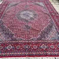 لوازم خانه|فرش|کرمان, |دیوار