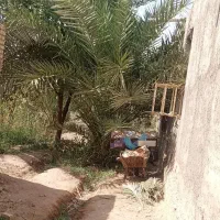 آروندکنار|فروش خانه و ویلا|آبادان, |دیوار