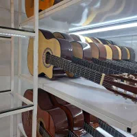 گیتار و سنتور با چک ۸ ماهه بخر|گیتار، بیس، امپلیفایر|سنندج, |دیوار