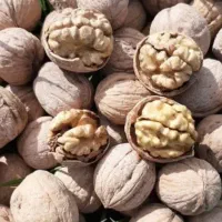 گردو تویسرکان|خوردنی و آشامیدنی|خمینی‌شهر, |دیوار