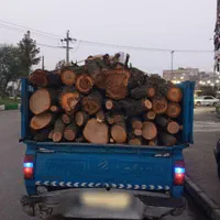 دام اغاجی تر وچوب خشک درخت الیام