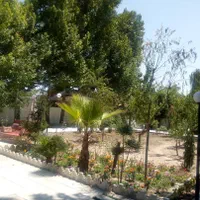 درختکاری و باغبانی|خدمات باغبانی و درختکاری|کرج, گوهردشت|دیوار