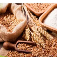 گلوتن مخصوص تهیه سوسیس کالباس و محصولات پروتئینی